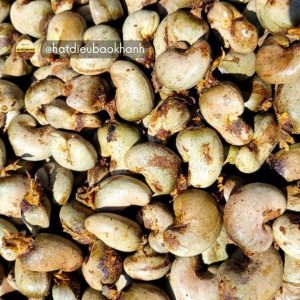 500G Hạt Điều Rang Muối Nguyên Hạt Size Nhỏ (W360)