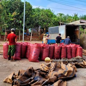 500G Hạt Điều Rang Muối Nguyên Hạt Size Nhỏ (W360)