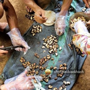Hạt Điều Sấy Nguyên Vị (Không Muối) Bể 2 Sạch Vỏ Lụa