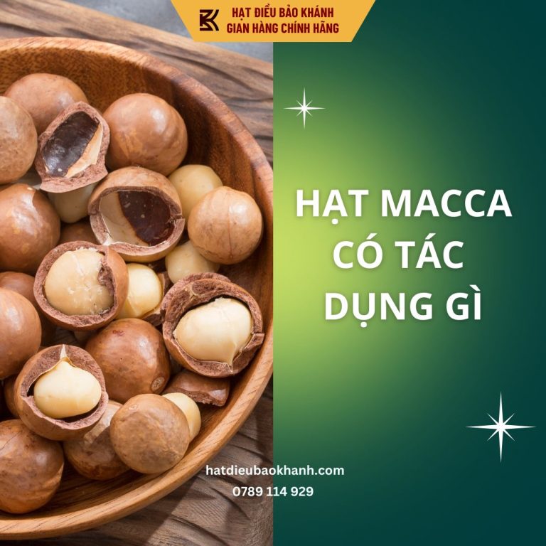 Hạt macca có tác dụng gì