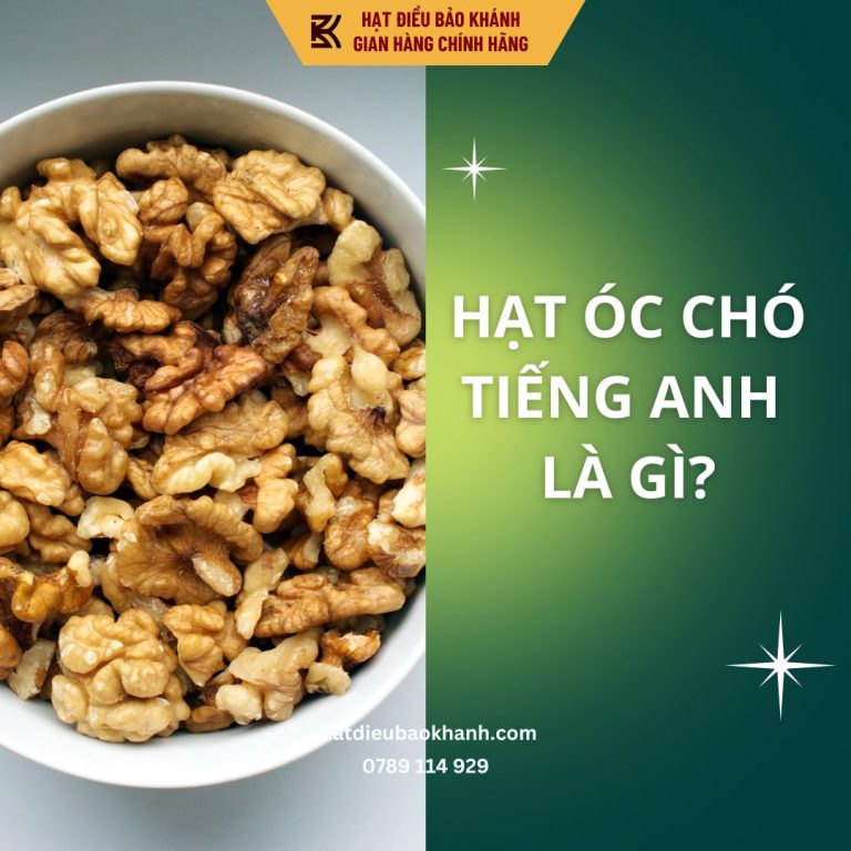 Hạt óc chó tiếng Anh là gì