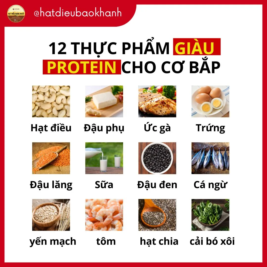 Ăn Gì Để Tăng Cơ? 12 Thực Phẩm Protein Nền Tảng Không Thể Bỏ Qua