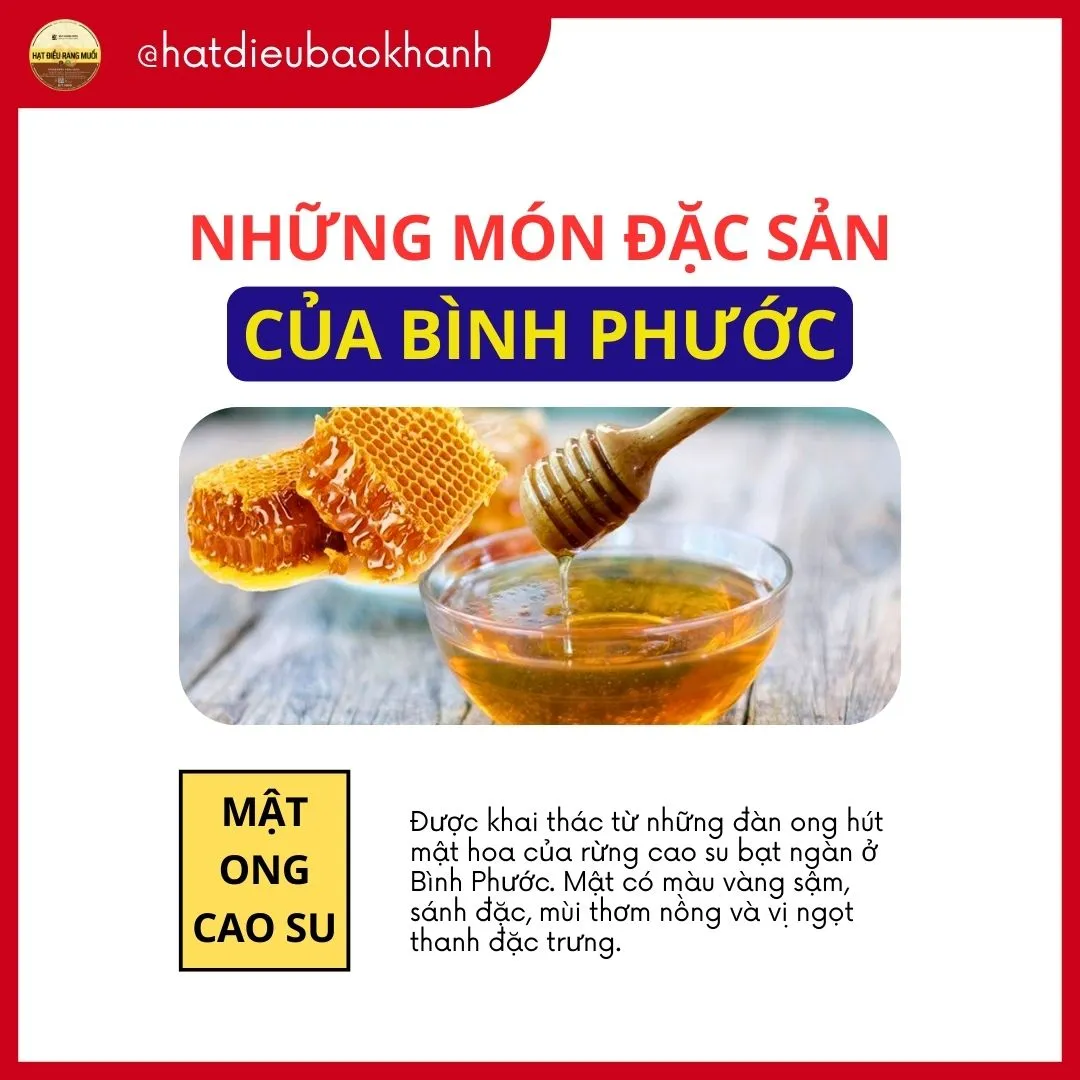 Mật Ong Rừng Cao Su Đặc Sản Bình Phước