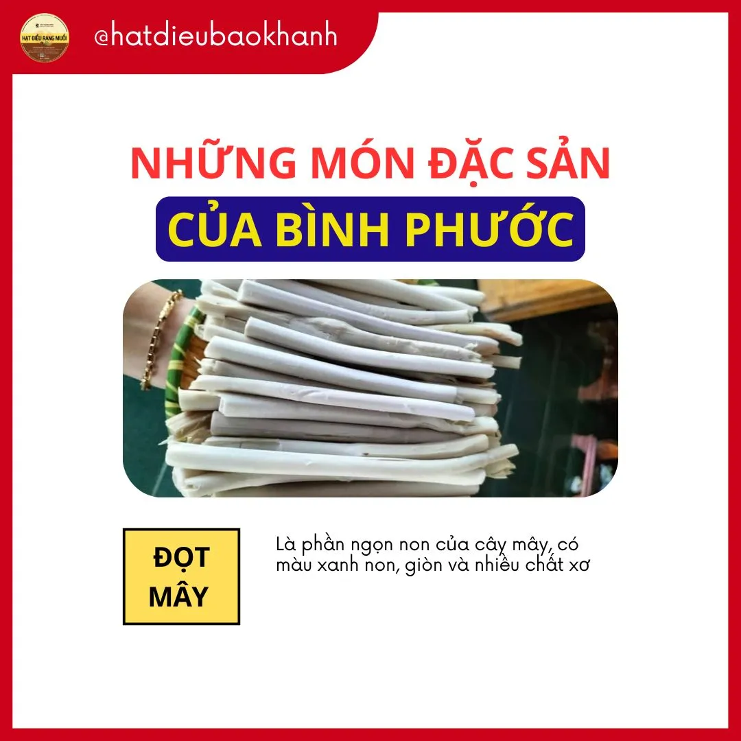 Đặc Sản Độc Lạ Đọt Mây Bình Phước