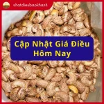 Giá hạt điều hôm nay: Tăng nóng 13,8% so với năm ngoái
