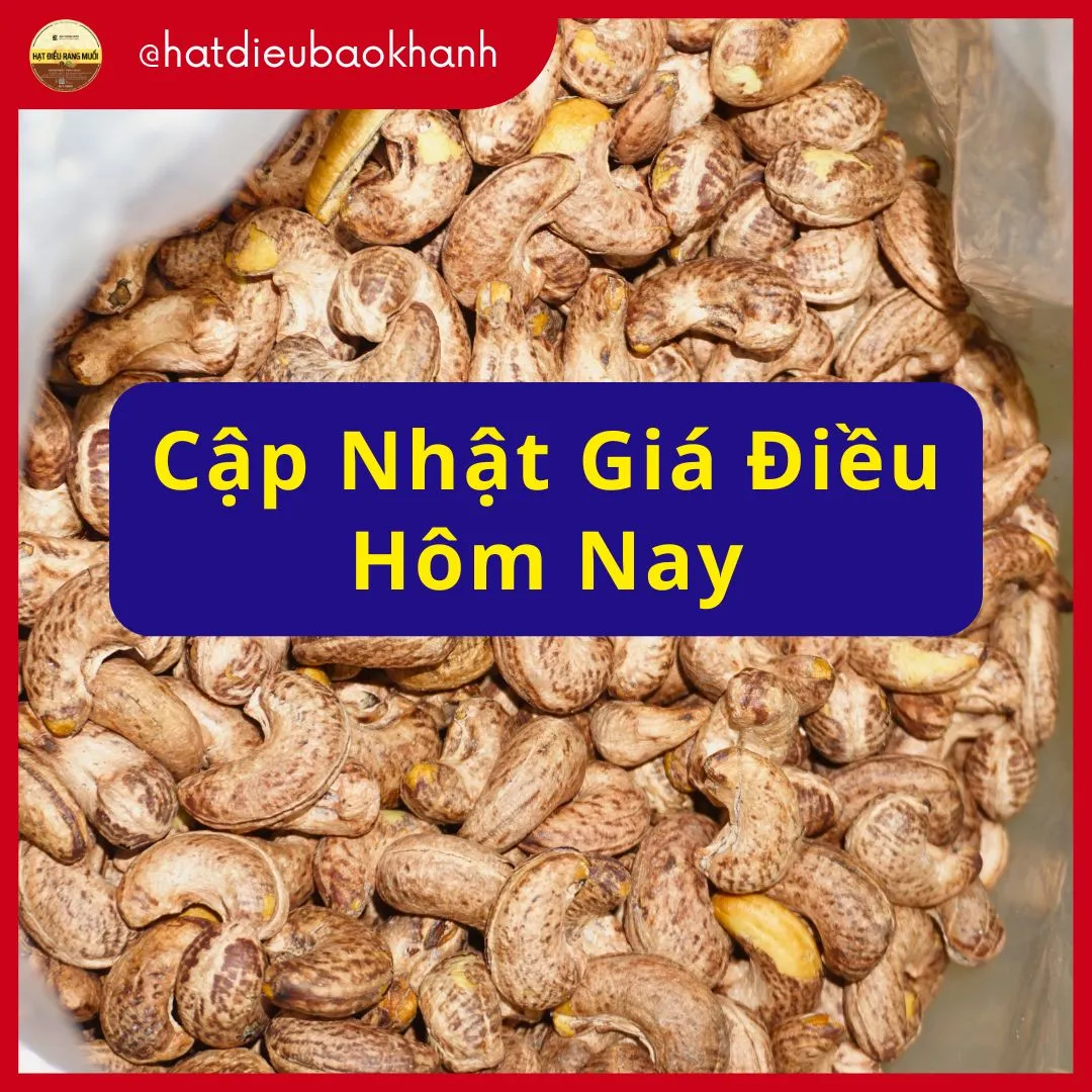 Giá hạt điều hôm nay: Tăng nóng 13,8% so với năm ngoái