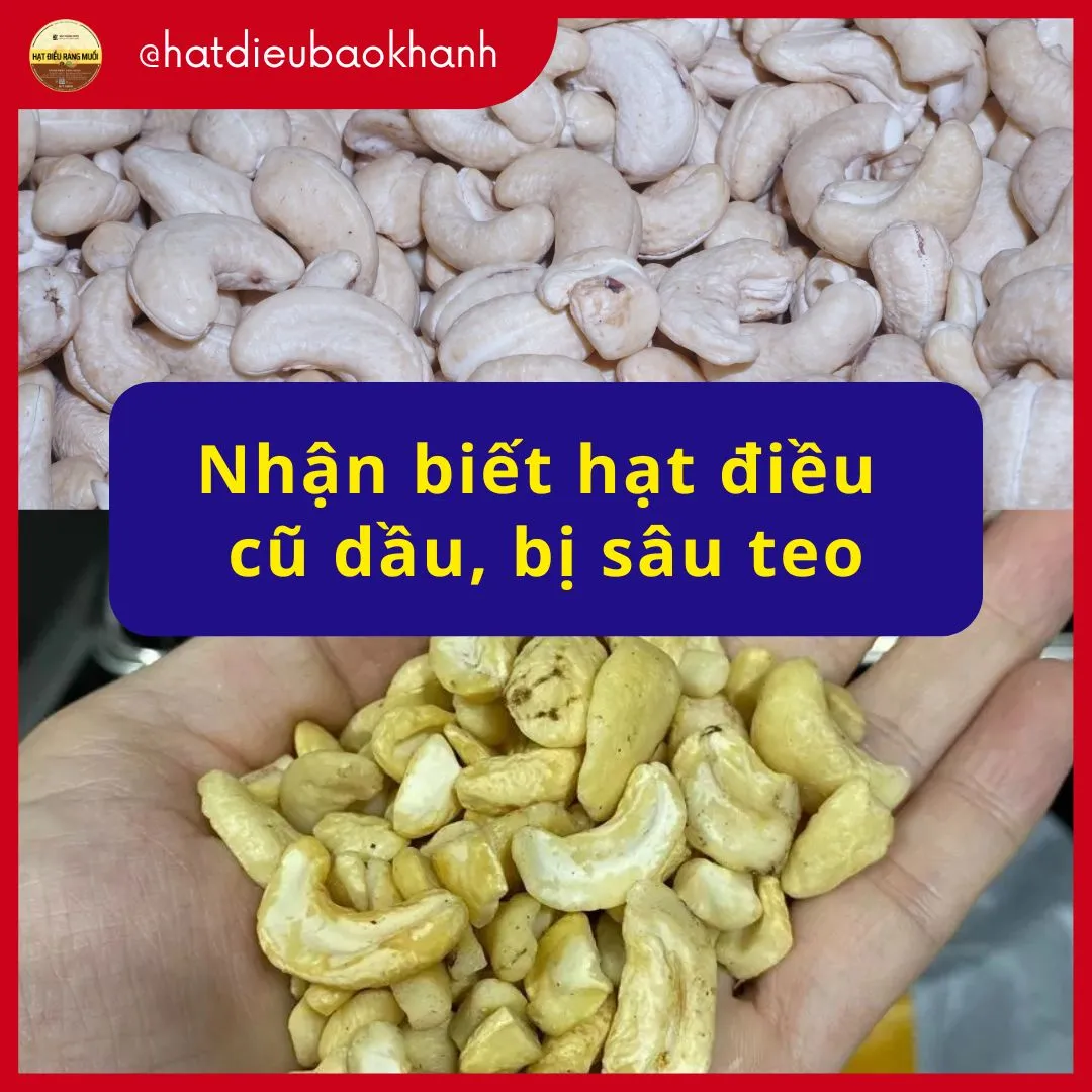 Dấu Hiệu Nhận Biết Hạt Điều Cũ, Bị Hôi Dầu – Kinh Nghiệm Thực Tế