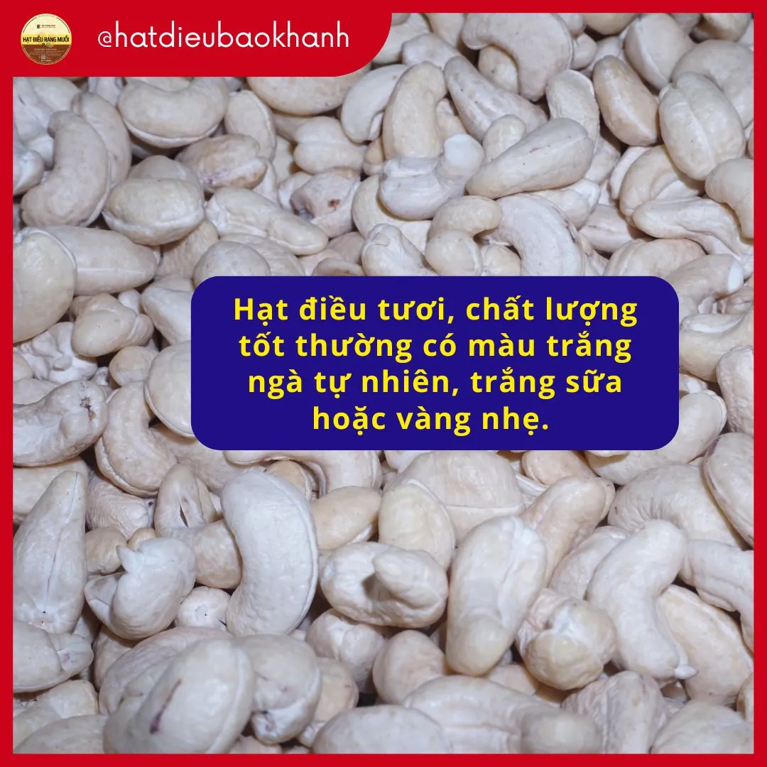 Hạt điều tươi chất lượng tốt