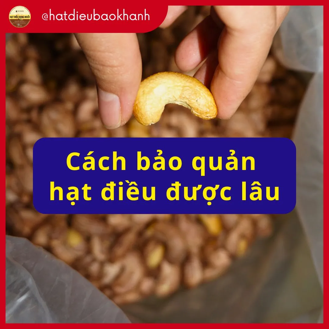 Hướng Dẫn Bảo Quản Hạt Điều Rang Muối Đúng Cách