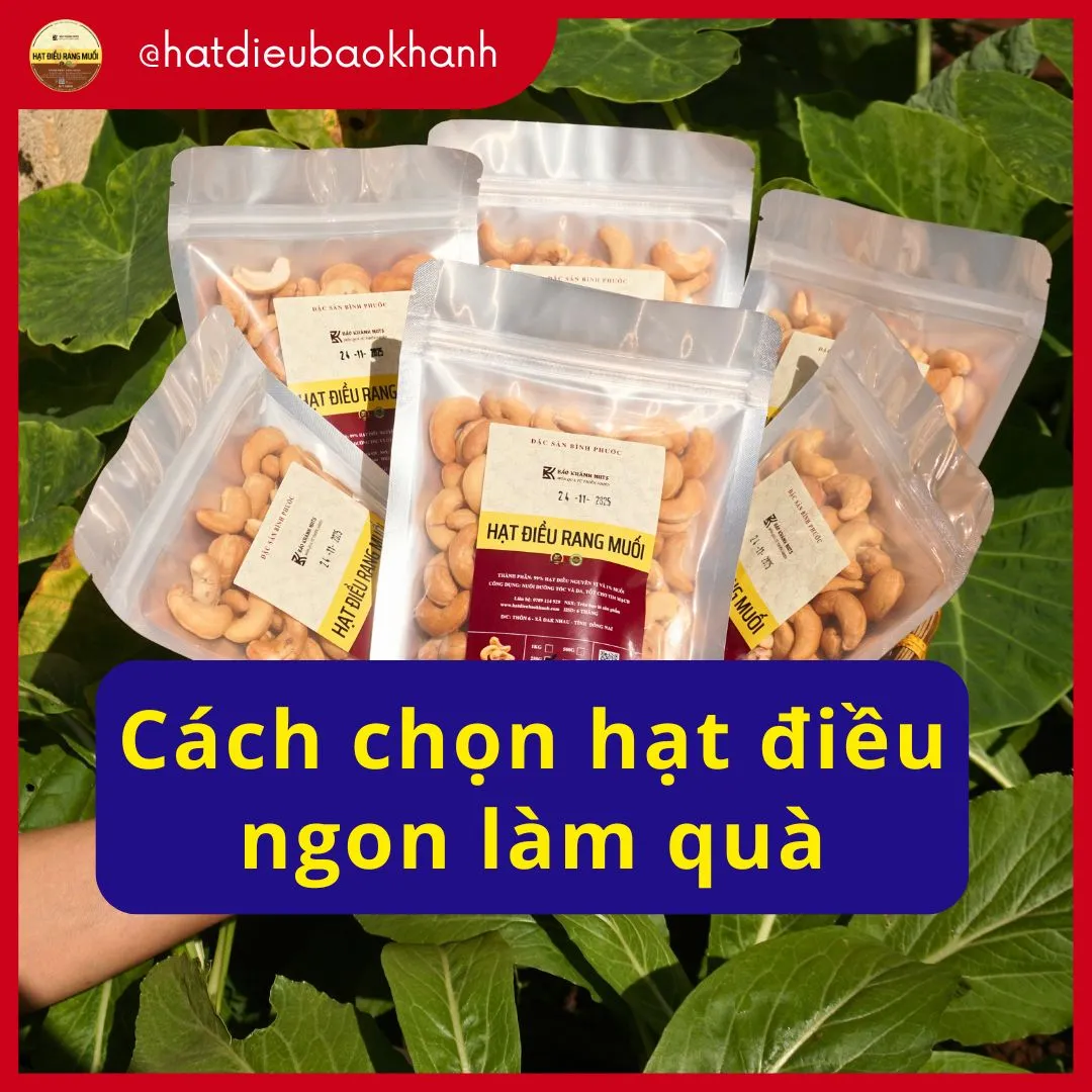 Cách Chọn Hạt Điều Ngon Để Làm Quà Biếu Sang Trọng