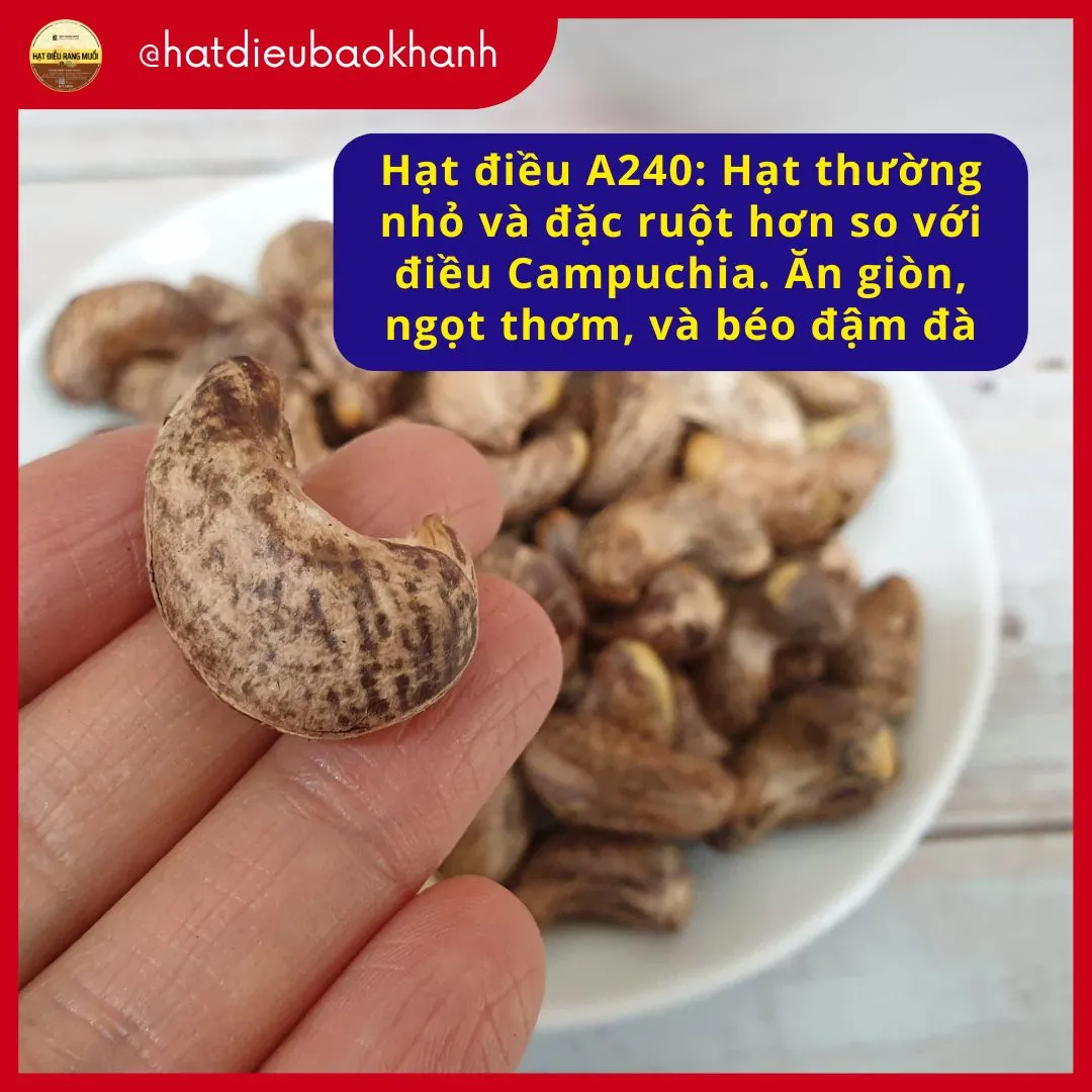 hat dieu binh phuoc a240