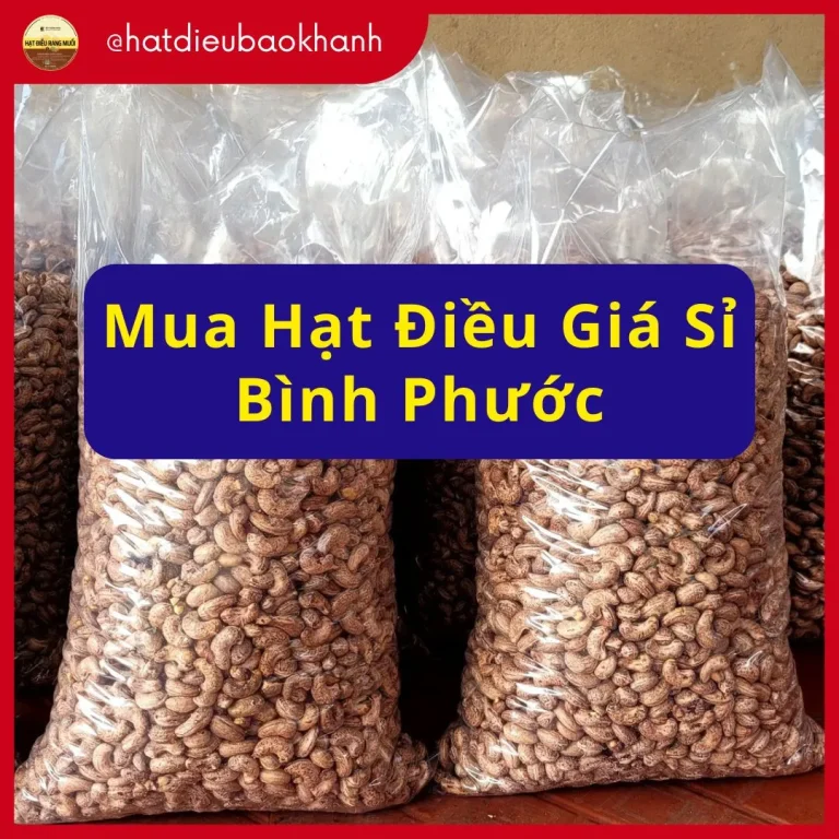 mua hat dieu gia si binh phuoc