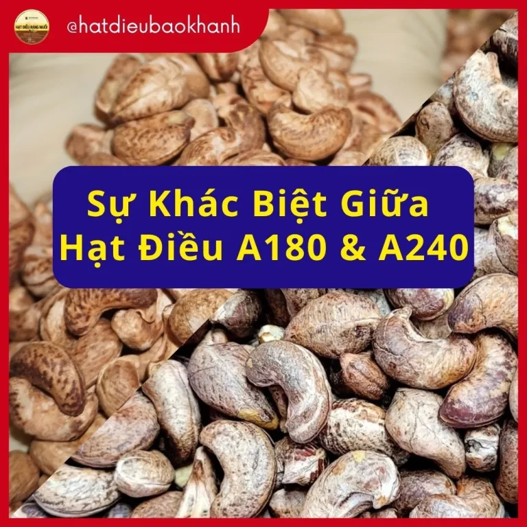 Su khac biet giua hai loai hat dieu a180 va a240