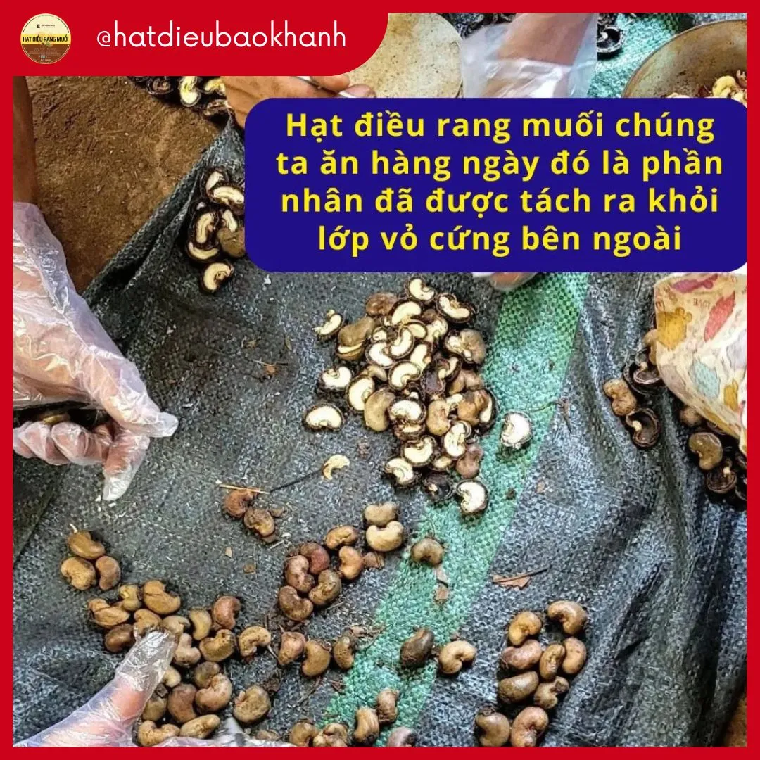 Vo hat dieu chua chat gay bong khi dinh vao nguoi