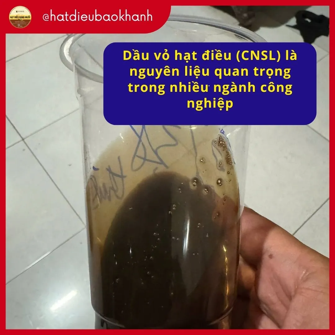 vo hat dieu co tinh ung dung trong nganh hoa chat, cong nghiep