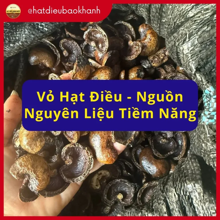 Vo hat dieu nguon nguyen lieu tiem nang