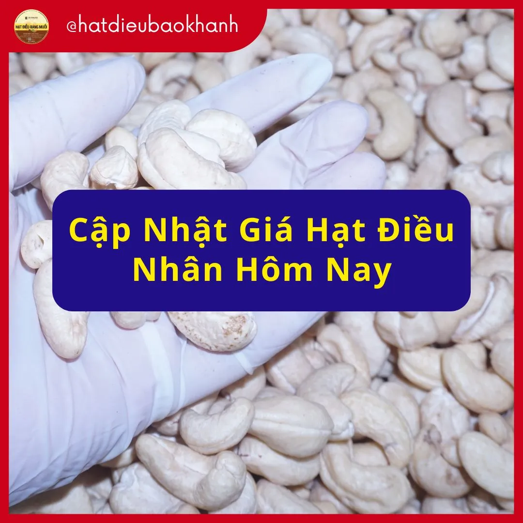 Giá hạt điều nhân hôm nay: Cập nhật mới nhất và dự báo xu hướng
